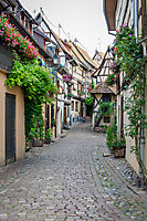 Alsace_1